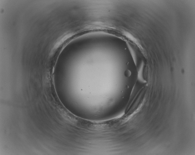 X0000068771453200604281226