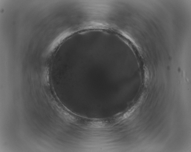 X0000068771455200604281226