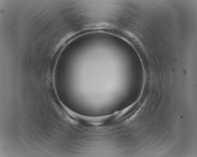 X0000068771457200604281226