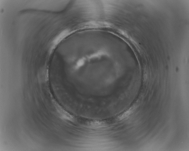 X0000068771459200604281226