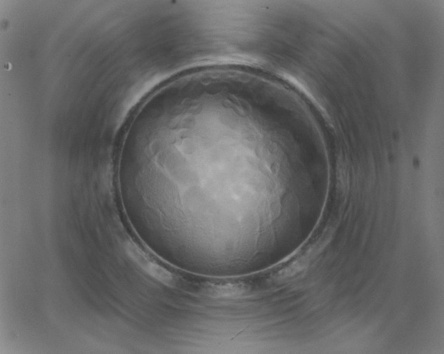 X0000068771460200604281226