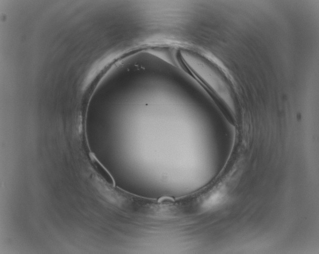 X0000068771461200604281226