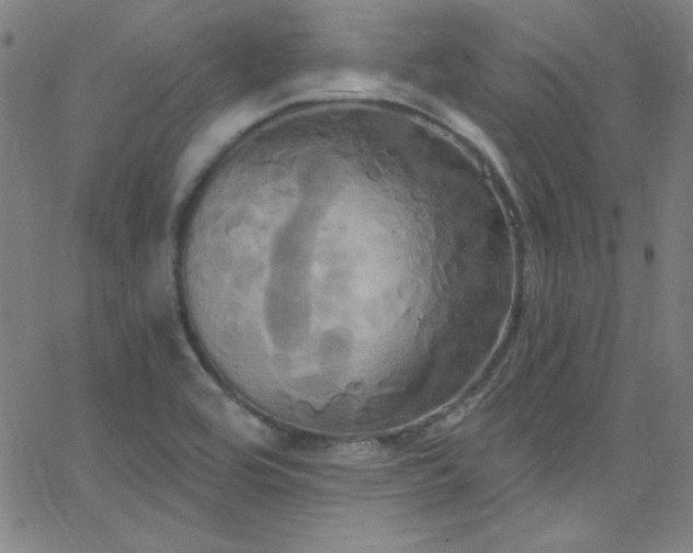 X0000068771464200604281226