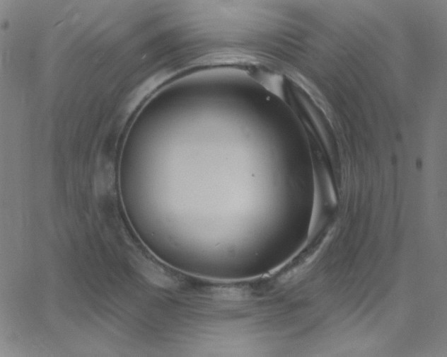 X0000068771465200604281226