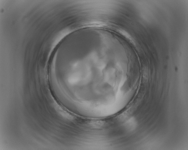 X0000068771466200604281226