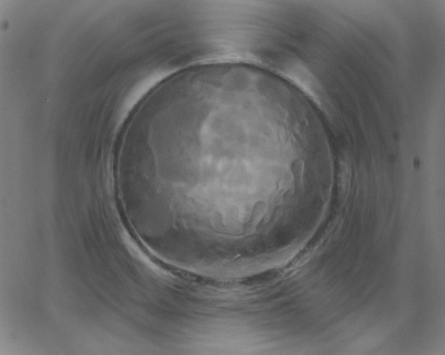 X0000068771468200604281226