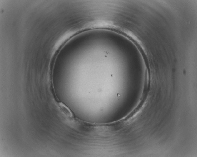 X0000068771469200604281226