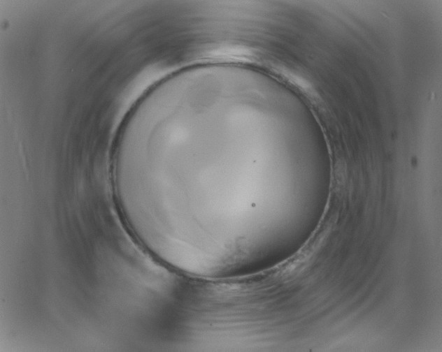 X0000068771470200604281226