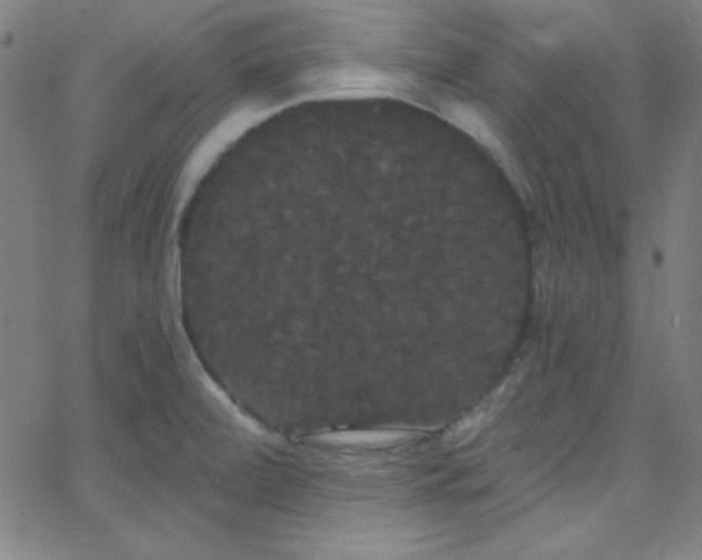 X0000068771472200604281225