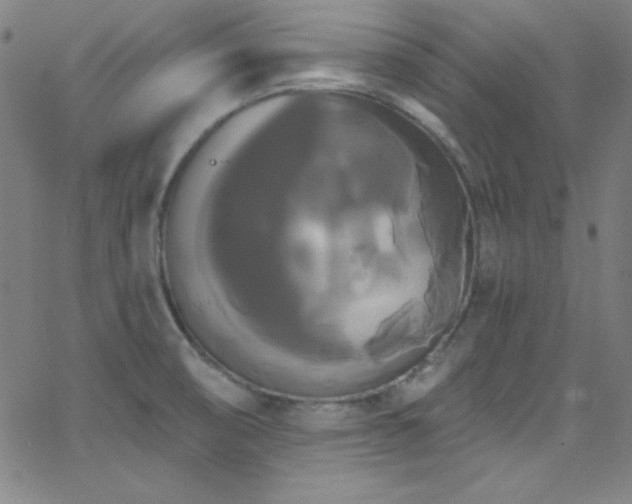 X0000068771474200604281225