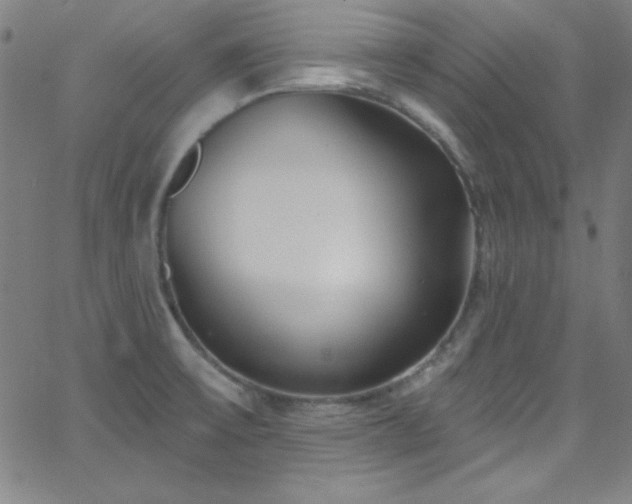 X0000068771475200604281225