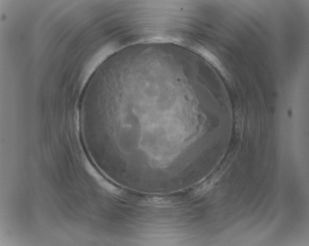 X0000068771476200604281225