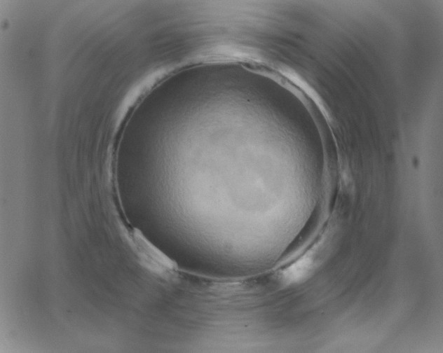 X0000068771477200604281225