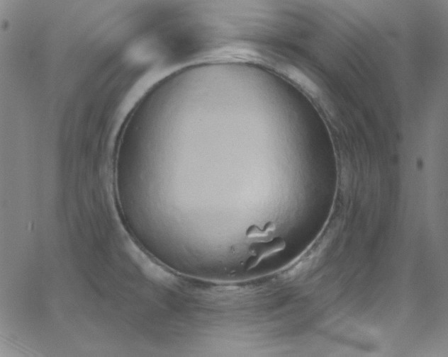 X0000068771478200604281225