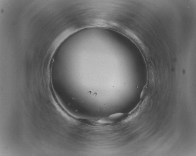 X0000068771479200604281225