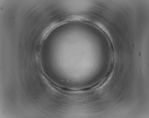 X0000068771481200604281225