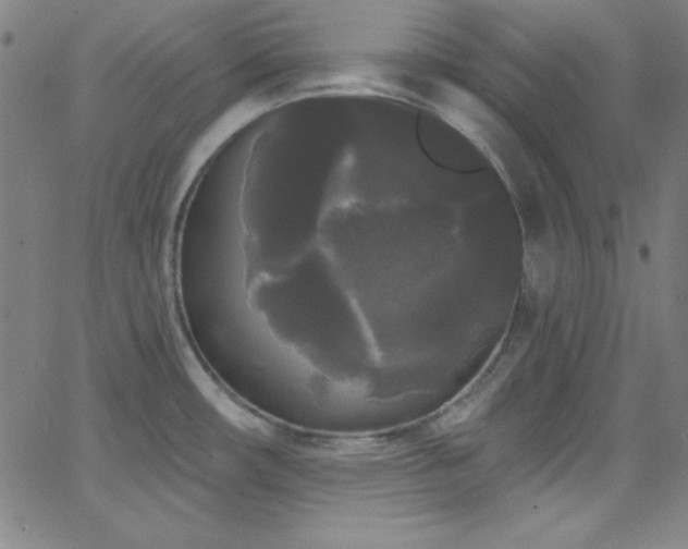 X0000068771482200604281225