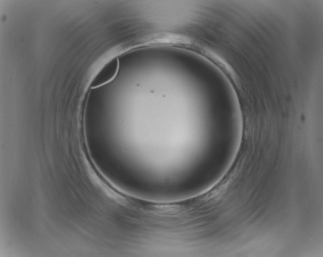 X0000068771483200604281225