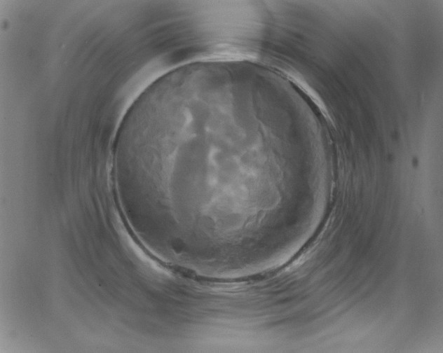 X0000068771484200604281225