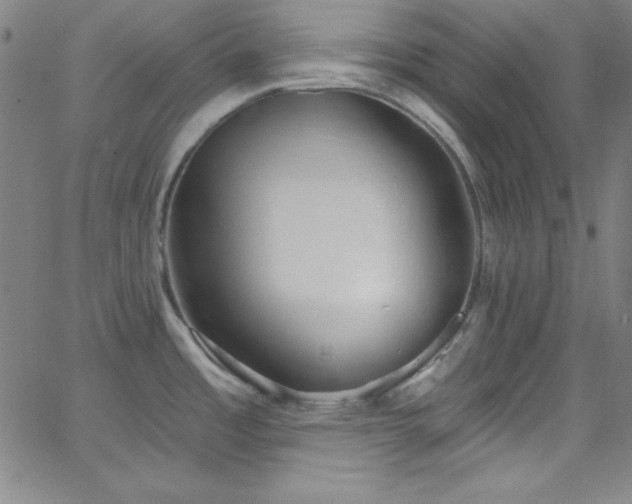 X0000068771485200604281225