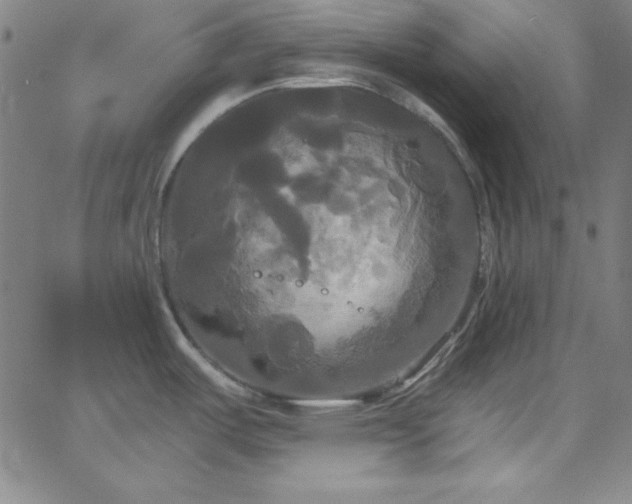 X0000068771487200604281225