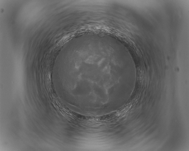 X0000068771489200604281224