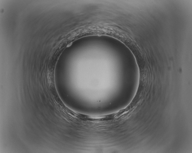 X0000068771490200604281224