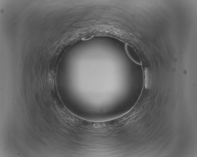 X0000068771491200604281224