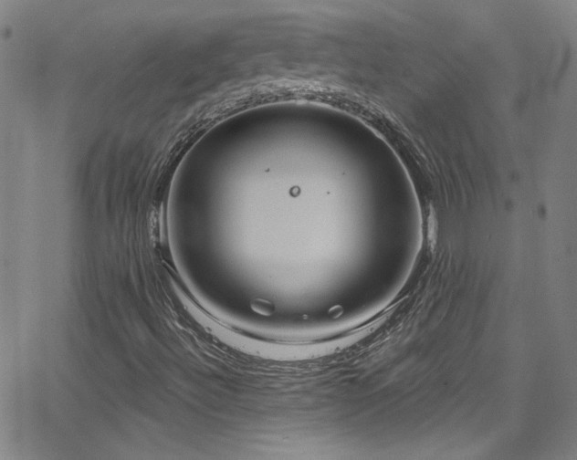 X0000068771492200604281224