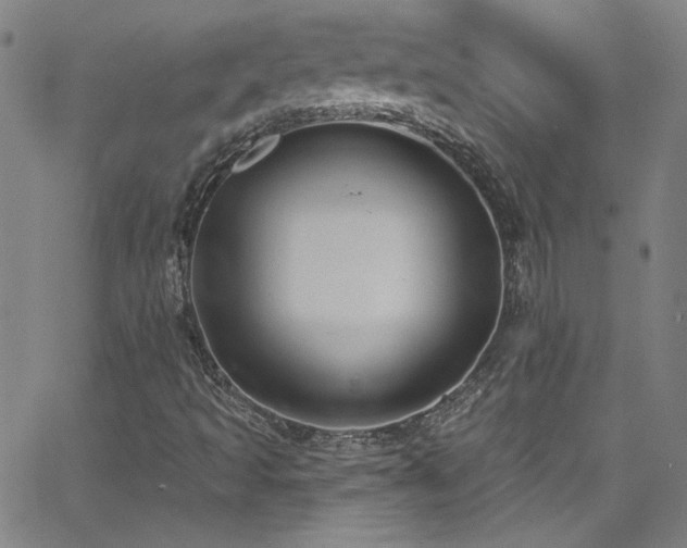 X0000068771493200604281224