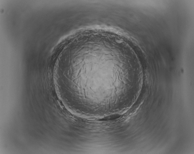 X0000068771494200604281224