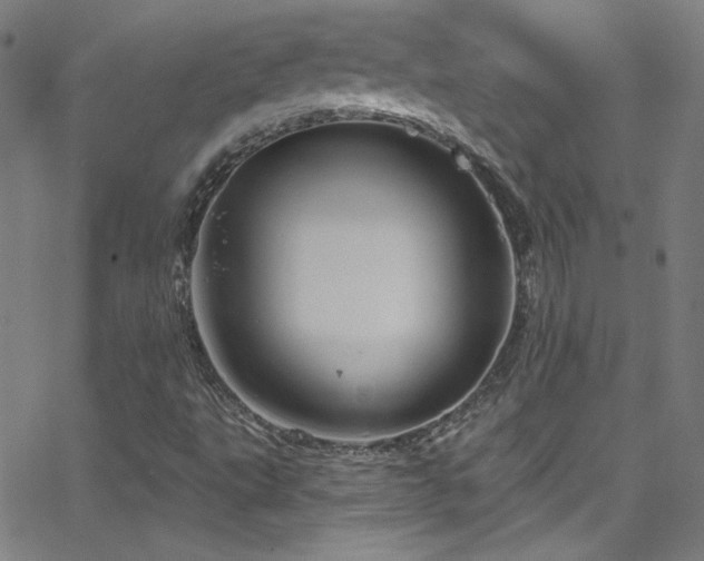 X0000068771495200604281224