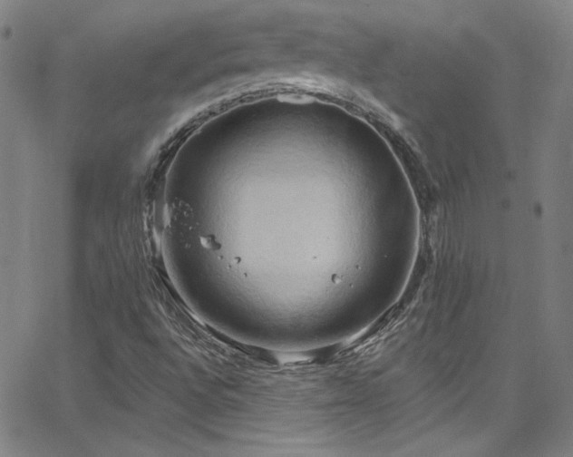 X0000068771496200604281224