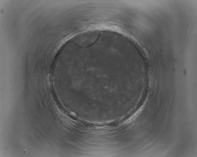 X0000068771497200604281225