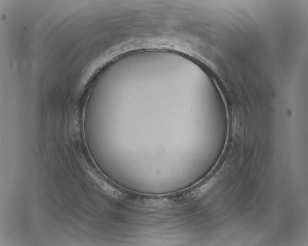 X0000068771498200604281225