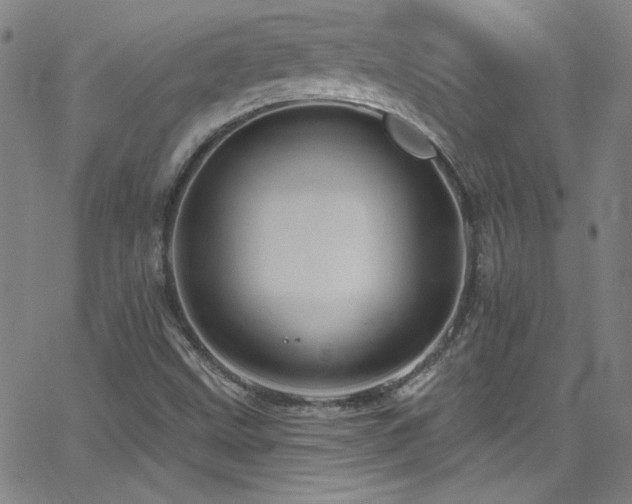 X0000068771499200604281225