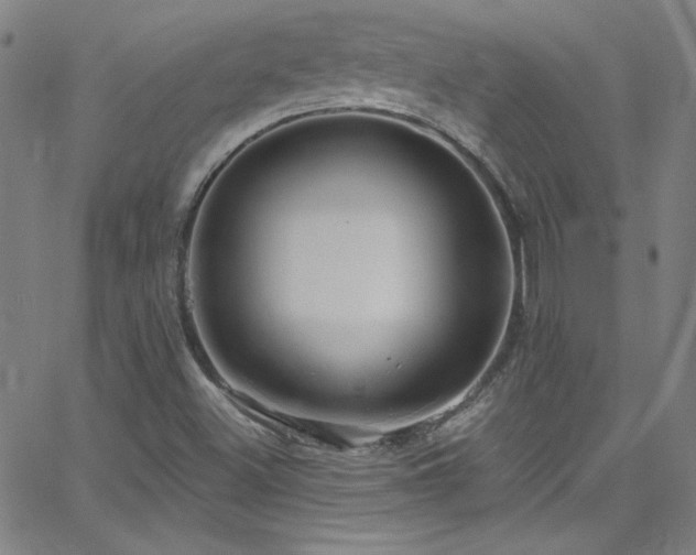 X0000068771500200604281225