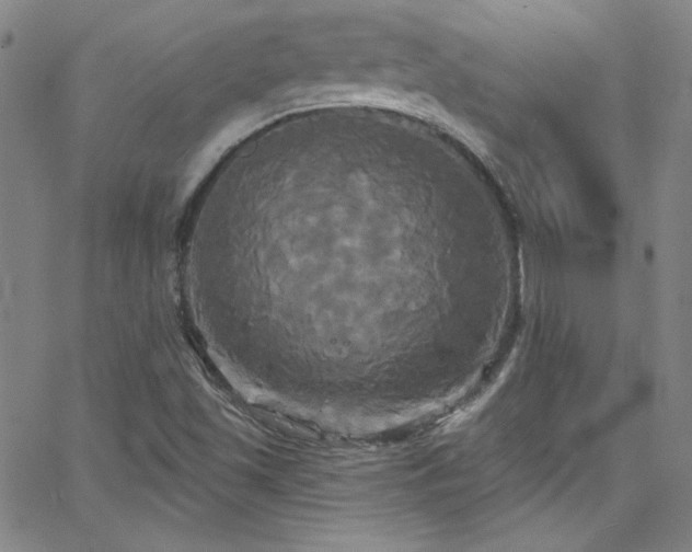 X0000068771501200604281225