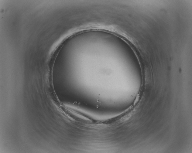 X0000068771502200604281225