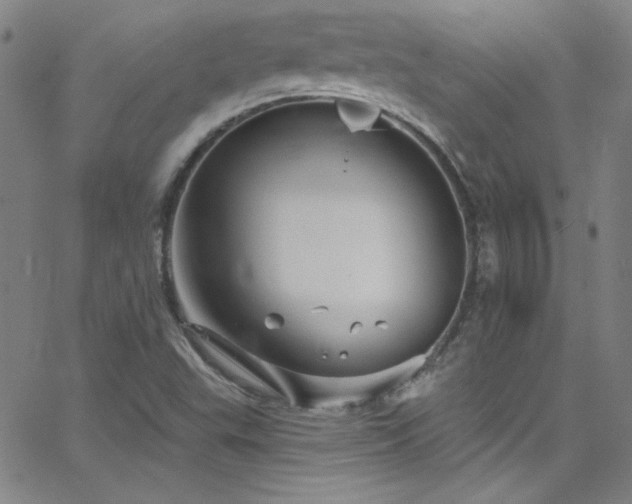 X0000068771503200604281225