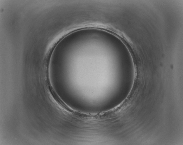 X0000068771504200604281225