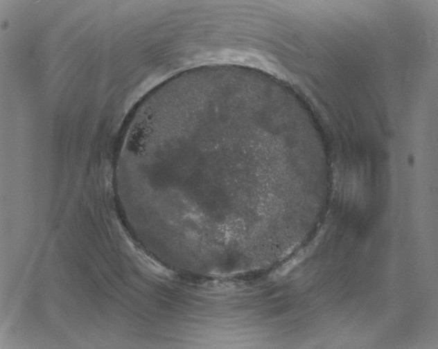 X0000068771505200604281225