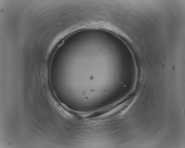 X0000068771506200604281225