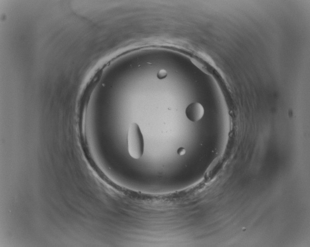 X0000068771508200604281225