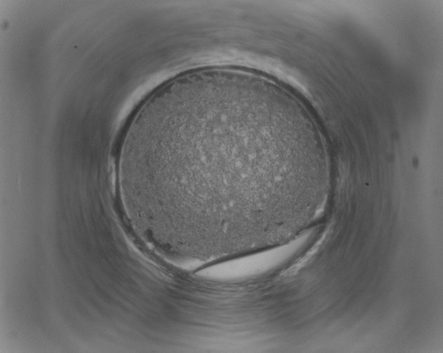 X0000068771509200604281225