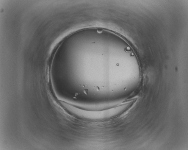 X0000068771510200604281225