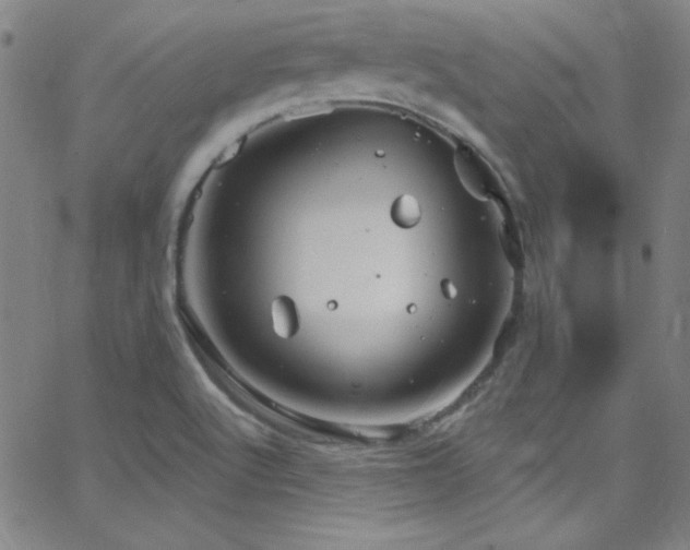 X0000068771512200604281225