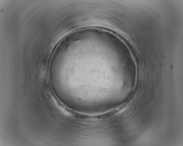 X0000068771513200604281225