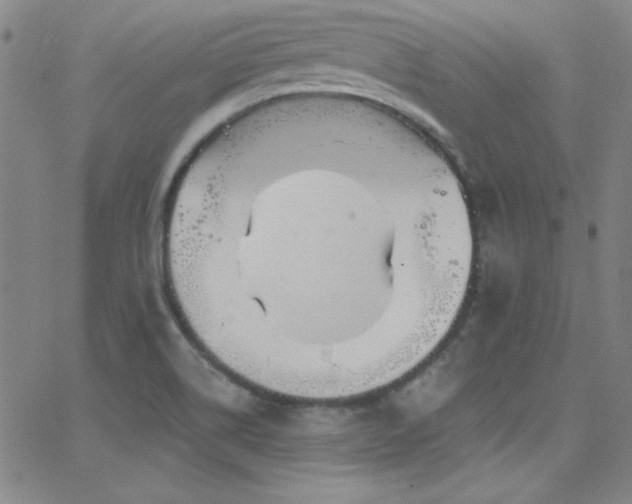 X0000068771514200604281225