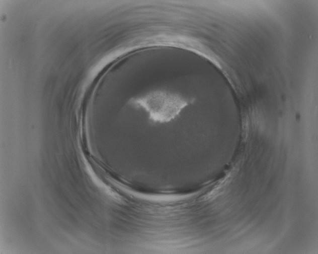 X0000068771515200604281225